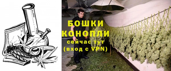 экстази Заводоуковск