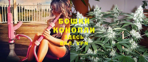 соль ск Зеленодольск