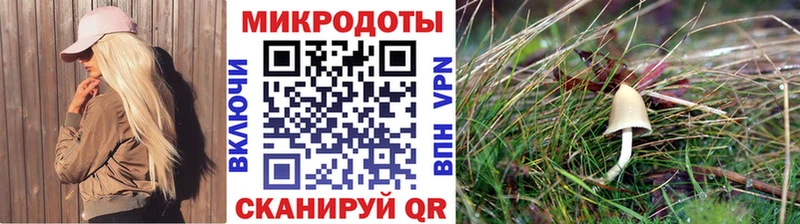 Псилоцибиновые грибы Psilocybe Купить где Ростов
